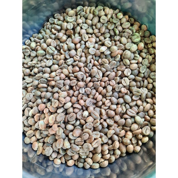 

Robusta Lampung Green Bean | Baraka Coffee