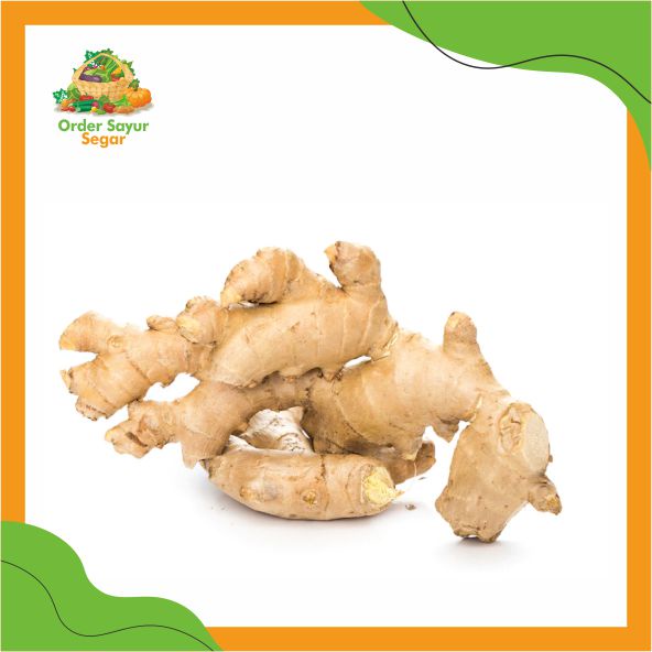 

Jahe Emprit Murah Pilihan dan Berkualitas