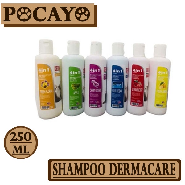 Shampoo DERMA CARE 250ml All Varian