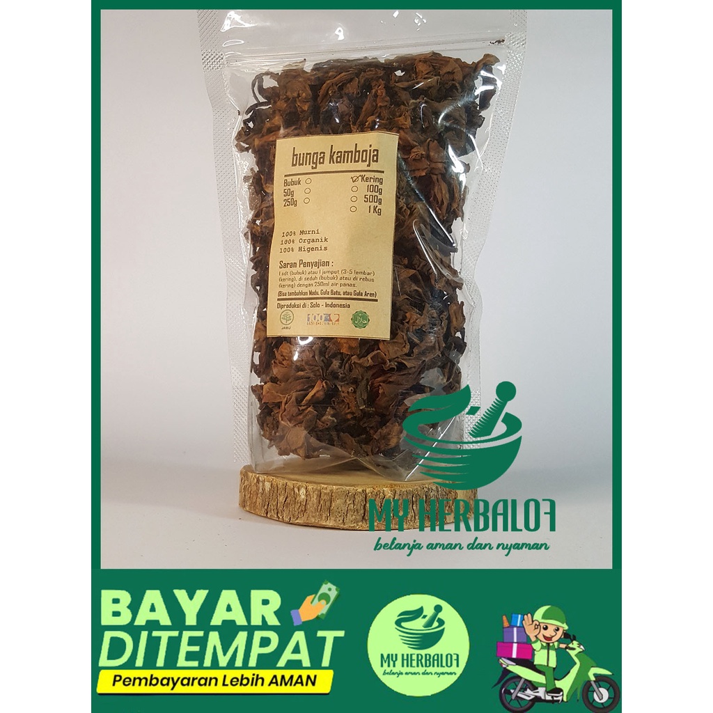 Obat Herbal Bunga Kamboja Jepang Tumpuk Murah / Teh Bunga Kamboja Kering / Obat Sakit Gigi Berlubang