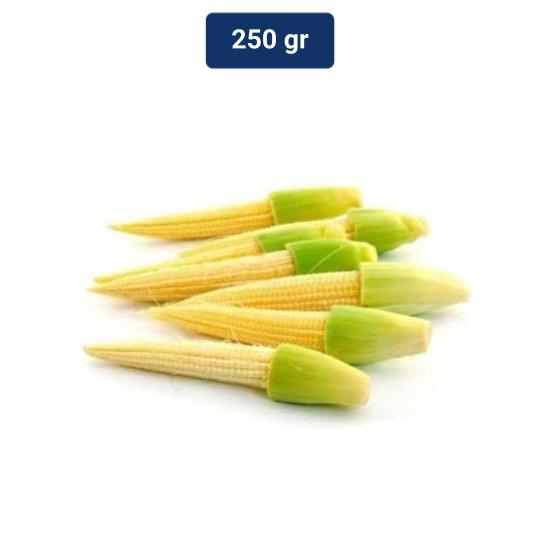 

Jagung Acar/ Putren/ Baby Corn 250 gr