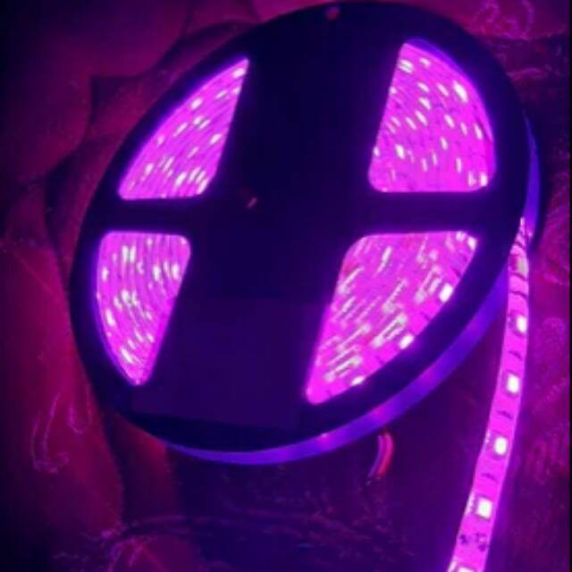 Led setrip 5050 pink 24V