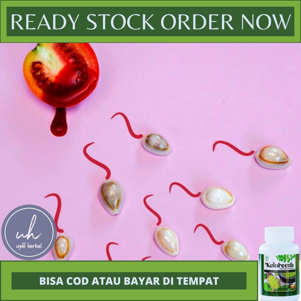 OBAT SPERMA PRIA BERDARAH, OBAT HEMATOSPERMIA, OBAT RADANG PROSTAT, OBAT KANKER PROSTAN, OBAT UNTUK 