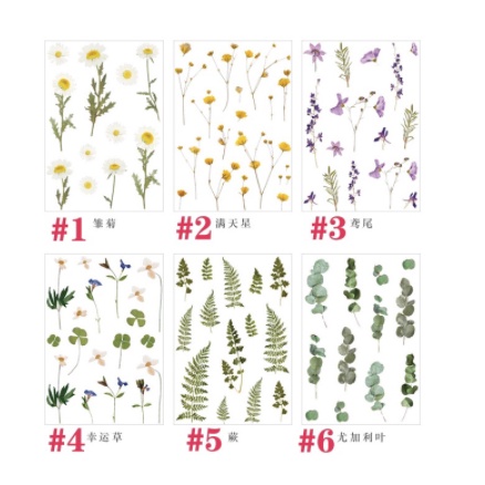 Sticker Retro Bunga Flower Flowery Bujo Bullet Journalling Scrapbook Stiker Daisy Vintage-5