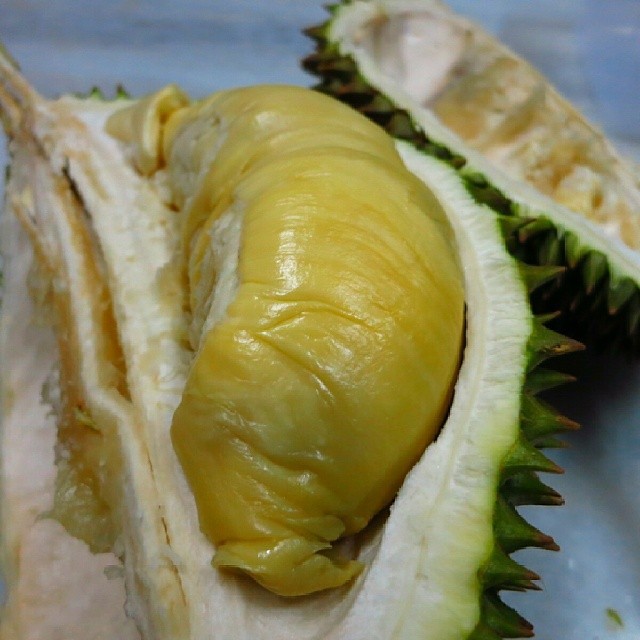 

(525gr) Durian Monthong / Duren Montong / Durian Montong Palu