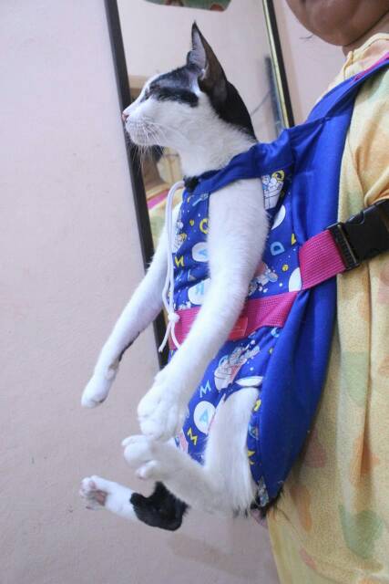 Gendongan kucing dan anjing motif doraemon / baju kucing murah size S M L XL