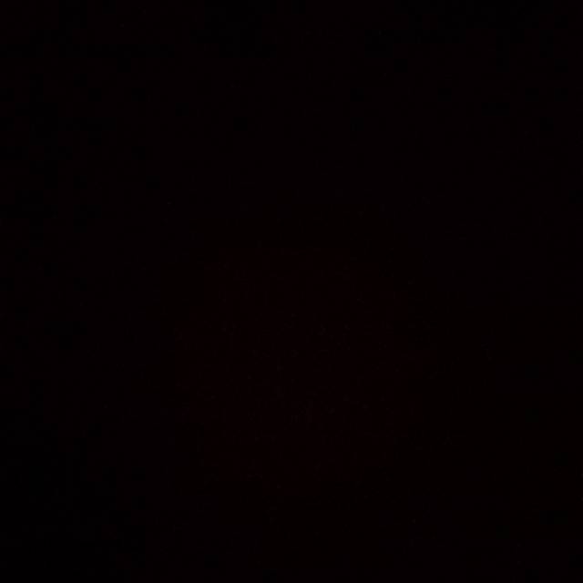 evisciaristimaharani