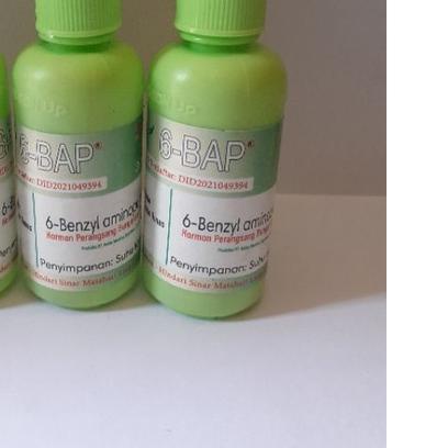 ♬ Hormon tanaman 6 BAP Benzylaminopurine penumbuh tunas Anggrek 6BAP kemasan 30ml original ➮