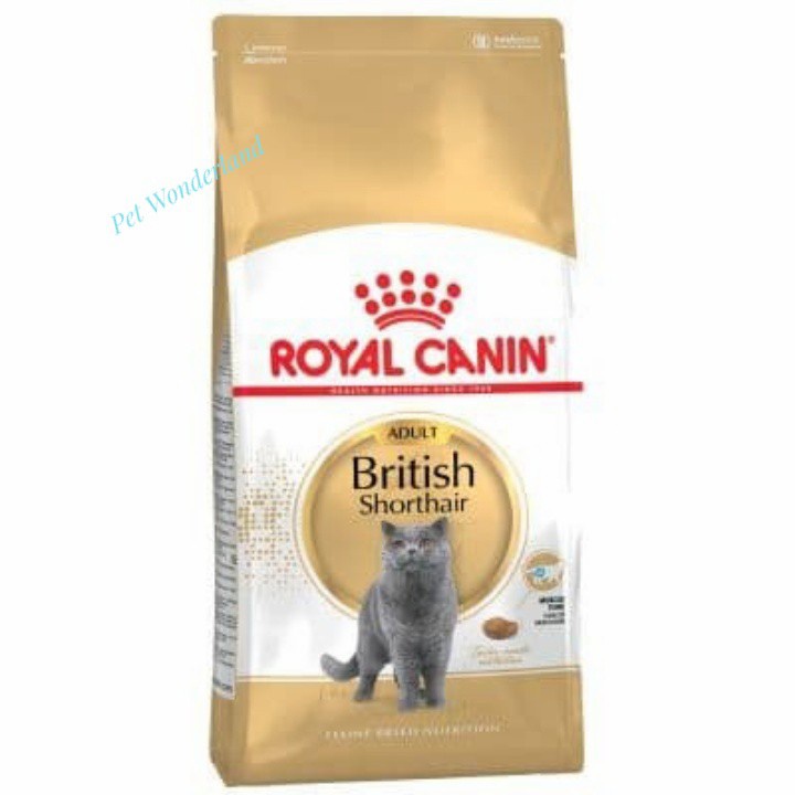 Royal Canin British Short Hair Adult 4 Kg - Makanan Kucing British Short Hair Dewasa