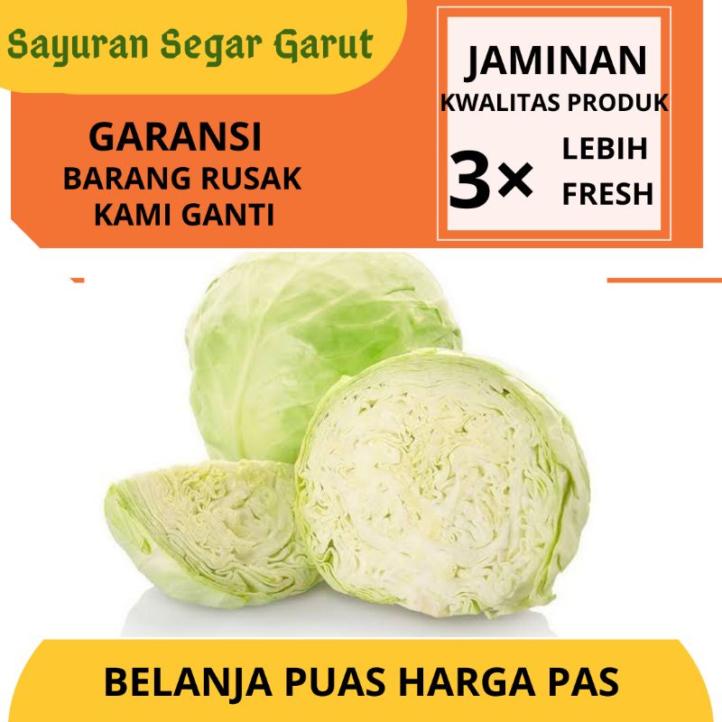 

Sayur Kol Engkol Kubis Hijau 500gr by Sayuran Segar Garut