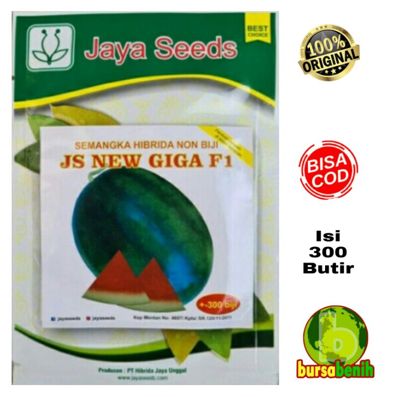 Benih Semangka Non Biji Isi 300 Butir JS NEW GIGA F1 - Bibit Semangka Non Biji - Benih Semangka Ungg