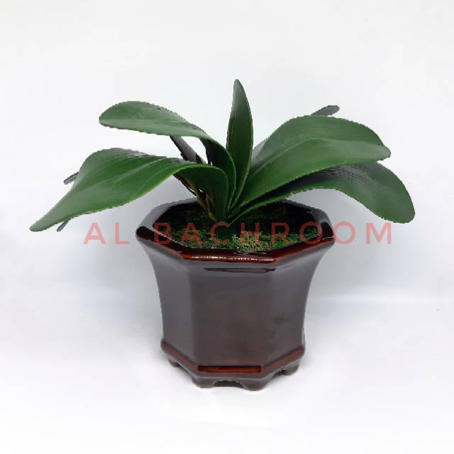 DAUN ANGGREK LATEX BESAR IMITASI BUATAN L9/ DA9 B8015 DAUN ARTIFICIAL