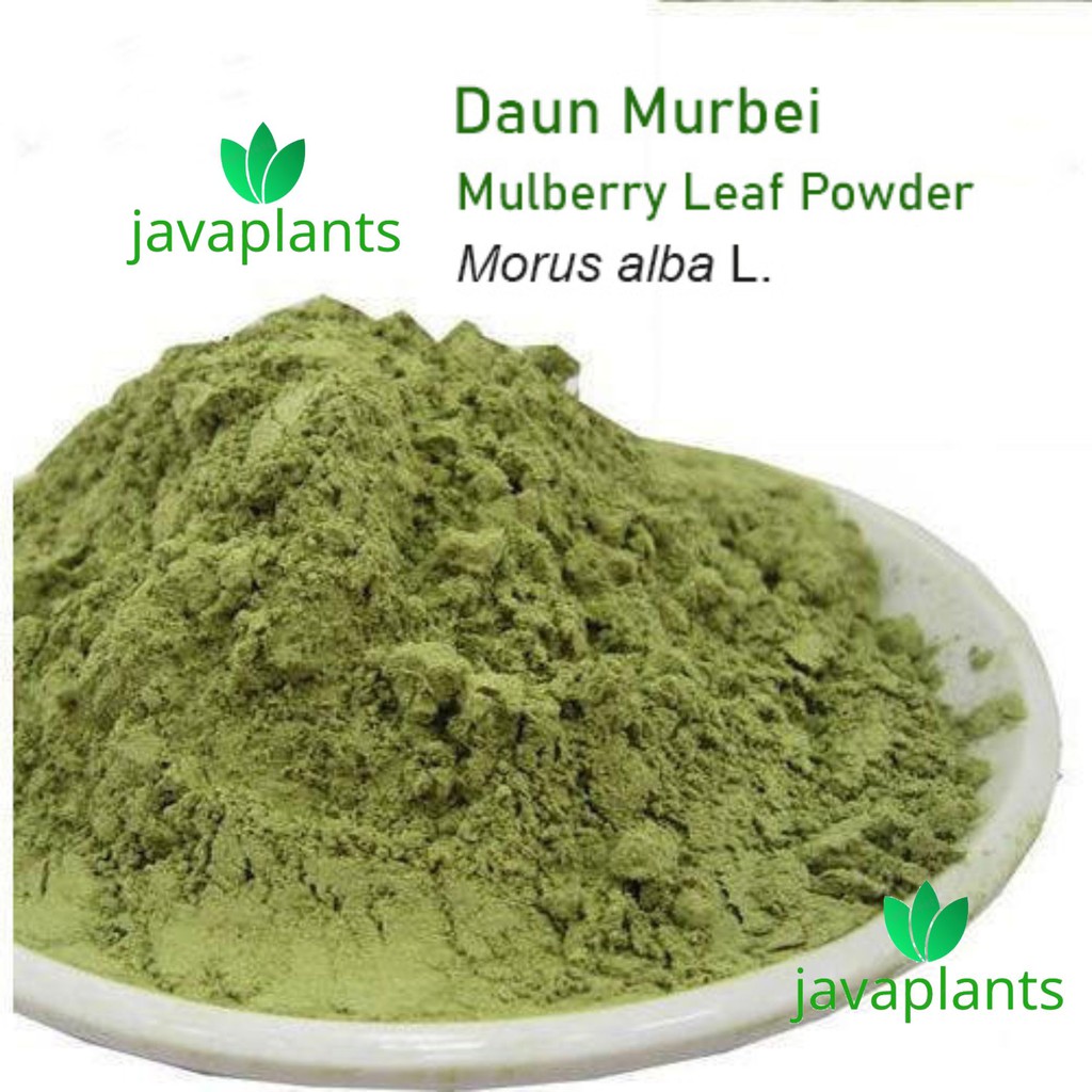 

Bubuk Daun Murbei 500 g Simplisia Serbuk Murbai Murbey Organic Mullberry Leaf Powder