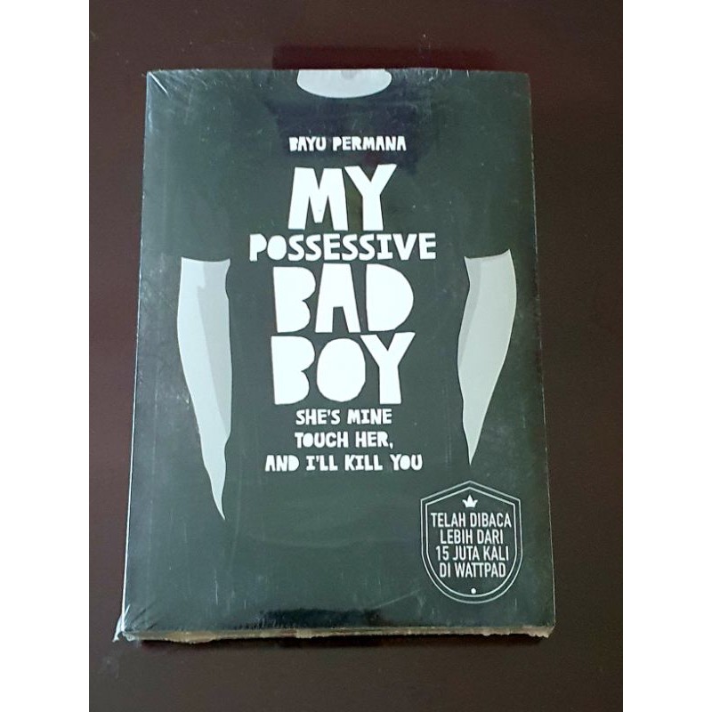 Novel - My Possessive Bad Boy