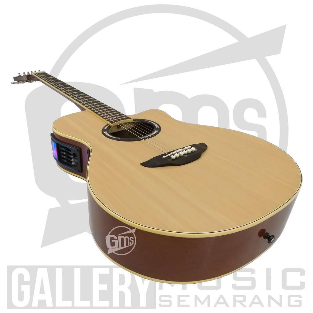 Gitar Akustik Elektrik APX 500II Equalizer Tuner LC Prener Custom Paket Super Komplit