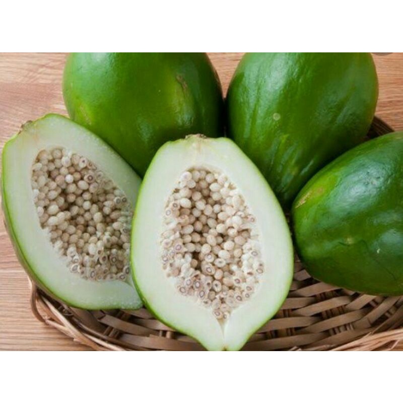 

Pepaya muda Sayur 1 buah