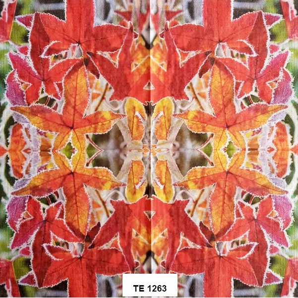 Tisu  Napkin Kerajinan  Decoupage Eropa  33X33 CM TE 1263 TTS