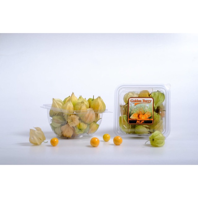 

Ciplukan/cecenet/Goldenberry