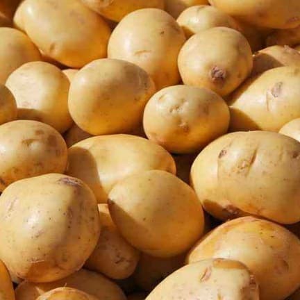 

KENTANG FRESH per 250gr dan 1kg