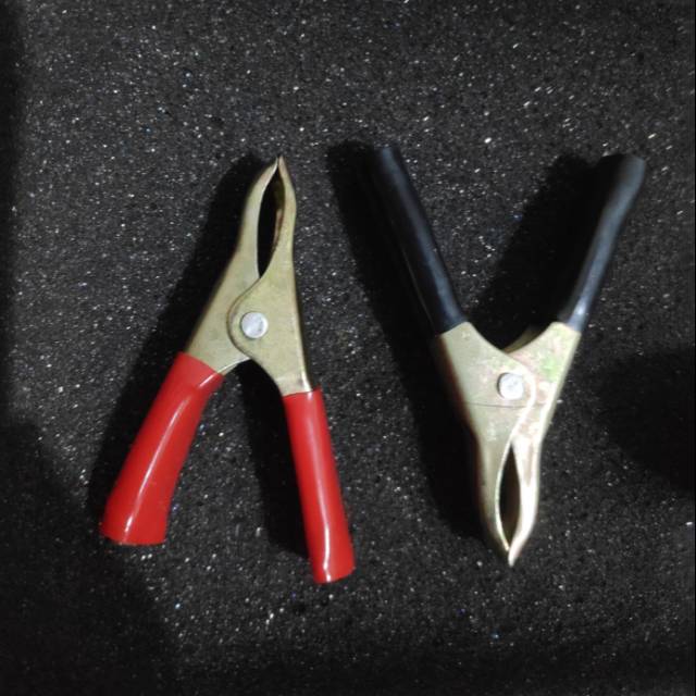 Capit Buaya / Capit Aki