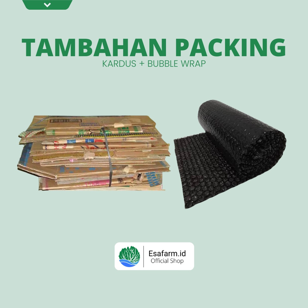 

Tambahan Packing Kardus dan Bubble Wrap