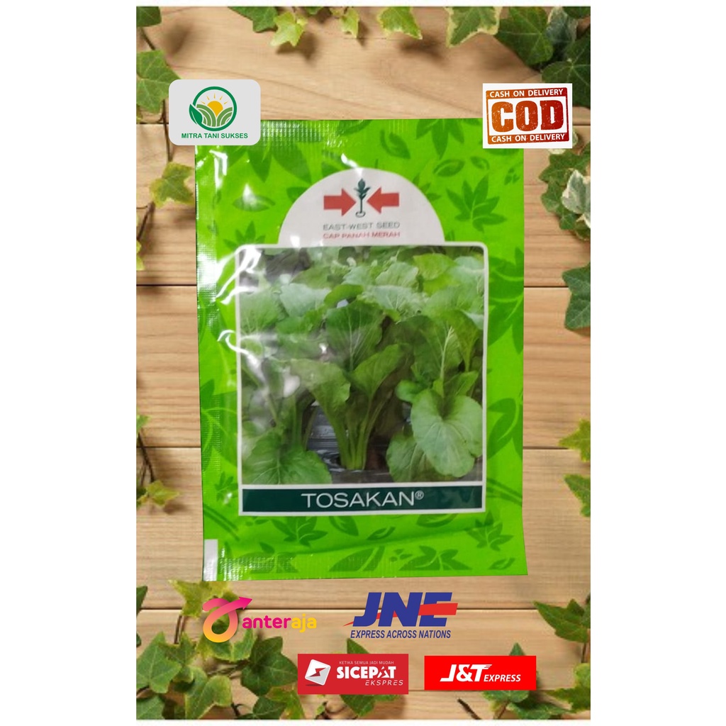 TOSAKAN SAWI/BENIH SAWI/BENIH SAWI UNGGUL