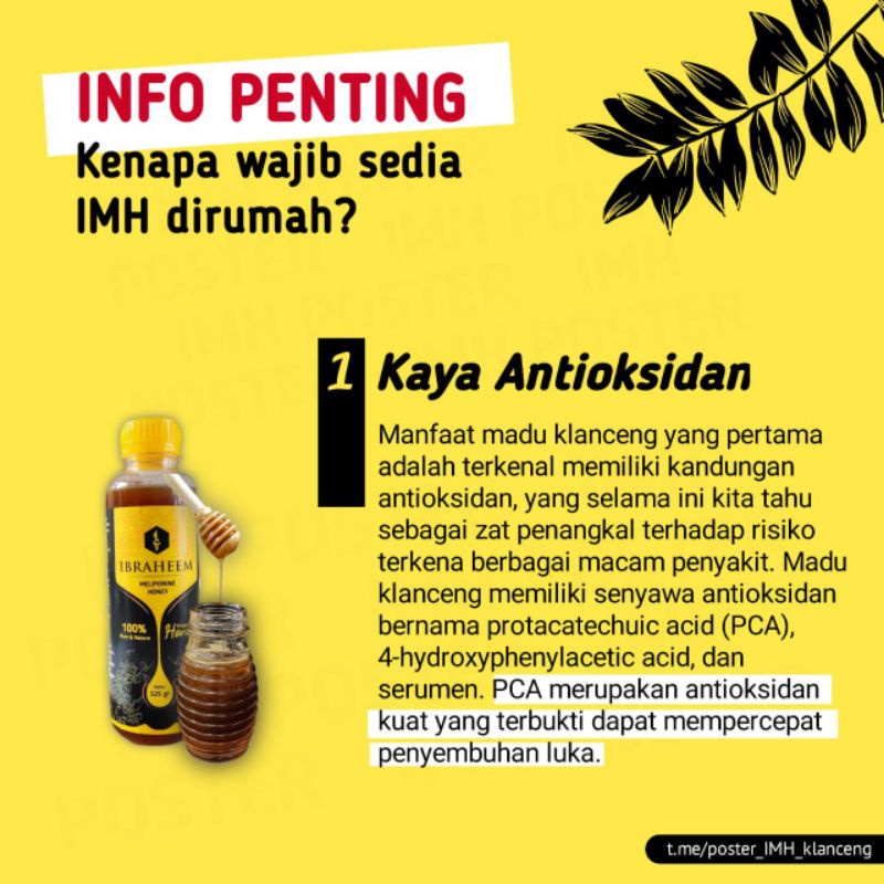 

Paket 2 botol Madu Klanceng Asli kaya Antioksidan IMH