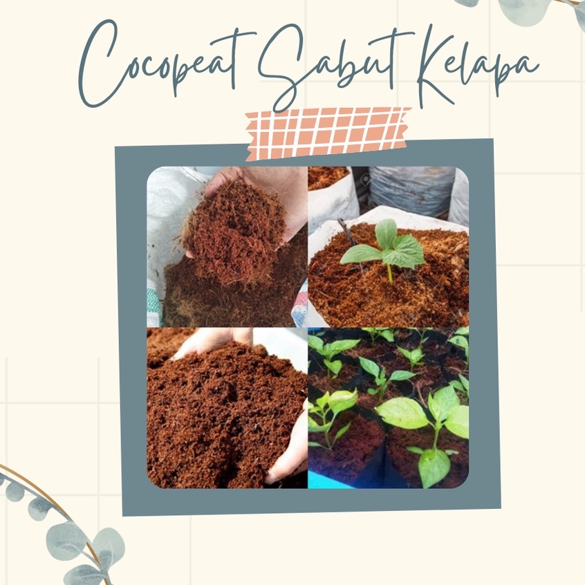 Media Tanam Cocopeat Sabut Kelapa Sabut Kelapa Media Tanam Cocopeat Siap Pakai
