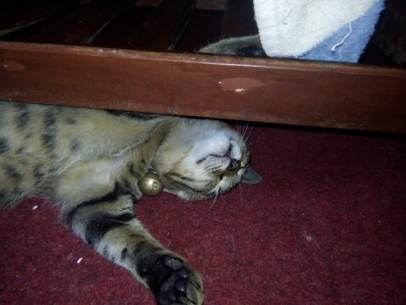 Promo Kemeja Batik Pria Lengan Panjang Masa Kini M L Xl Xxl