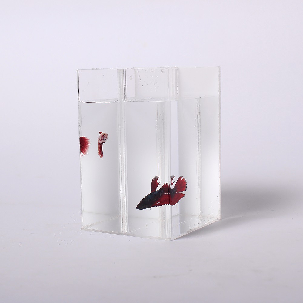 AKUARIUM AKRILIK / AKUARIUM CUPANG / SOLITER SELFIE /SOLITER CUPANG / SOLITER AKRILIKXGUPPY 10X10X15