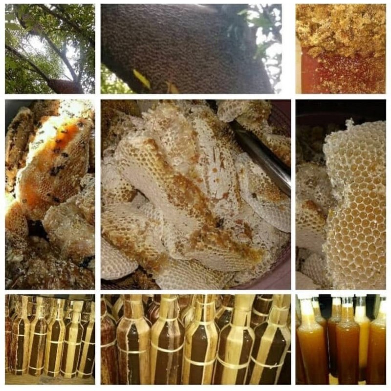

madu hutam asli madu asli madu baduy