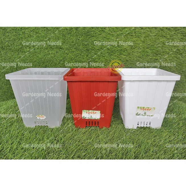 Pot Kaktus Tinggi Kotak Pot Bunga Yogap Kotak 10 YPK 10