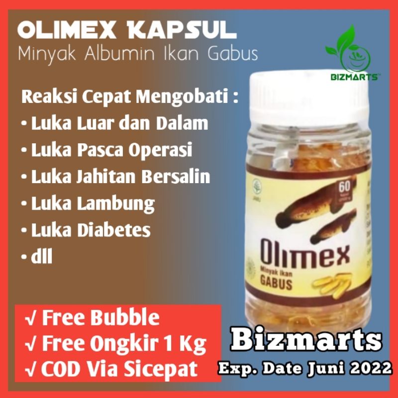 Jual Kapsul Kutuk Premium Asli Original Albumin Ikan Gabus Obat Luka Luar Dan Dalam