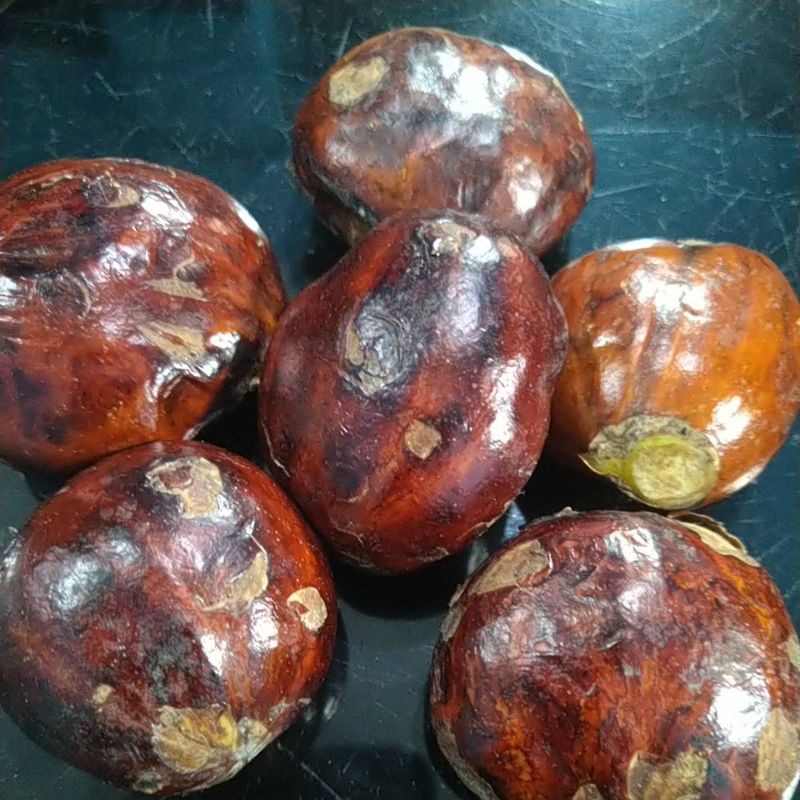 JENGKOL TUA PILIHAN 1KG