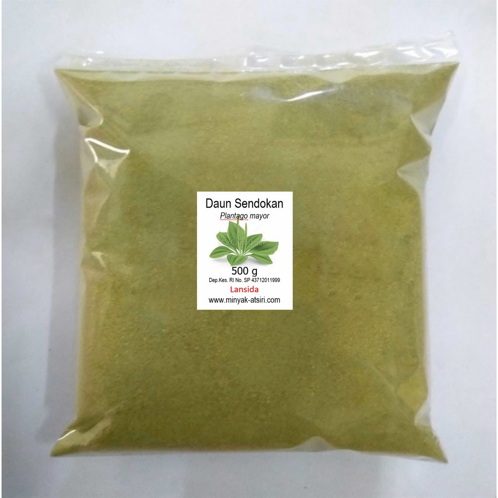 

BUBUK DAUN SENDOK 500 g Serbuk SENDOKAN Ki Urat Plantago mayor Sembung Otot
