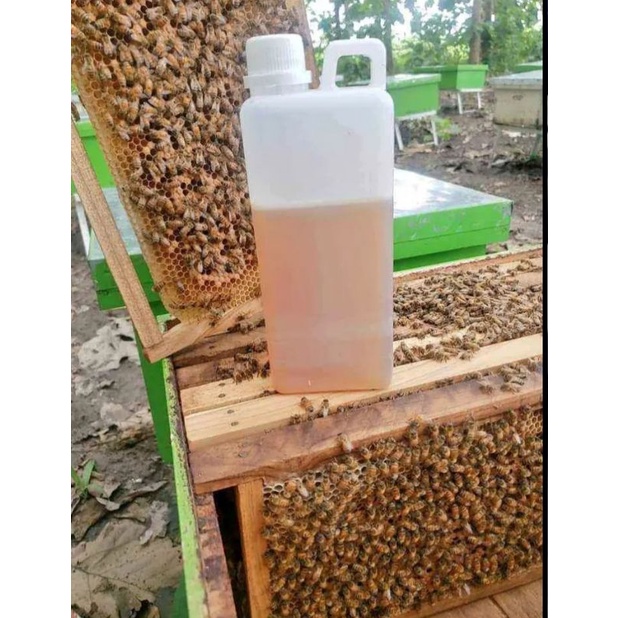

madu klengkeng