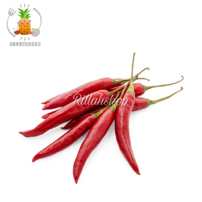 

Cabe Merah Besar