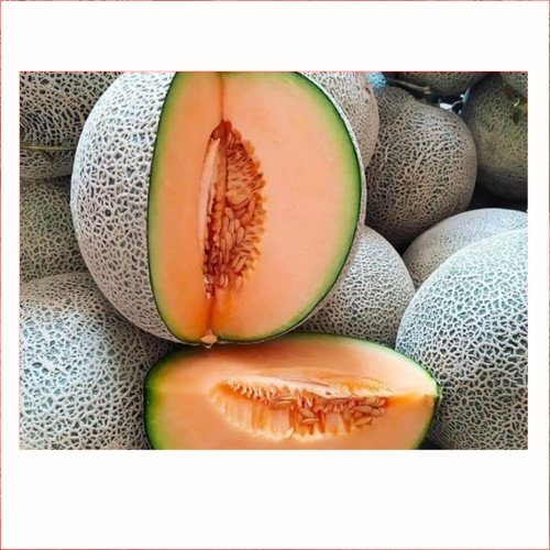 

1 Buah Melon Hijau | Buah Segar | | Pasar Induk Pekanbaru #Harga_Grosir