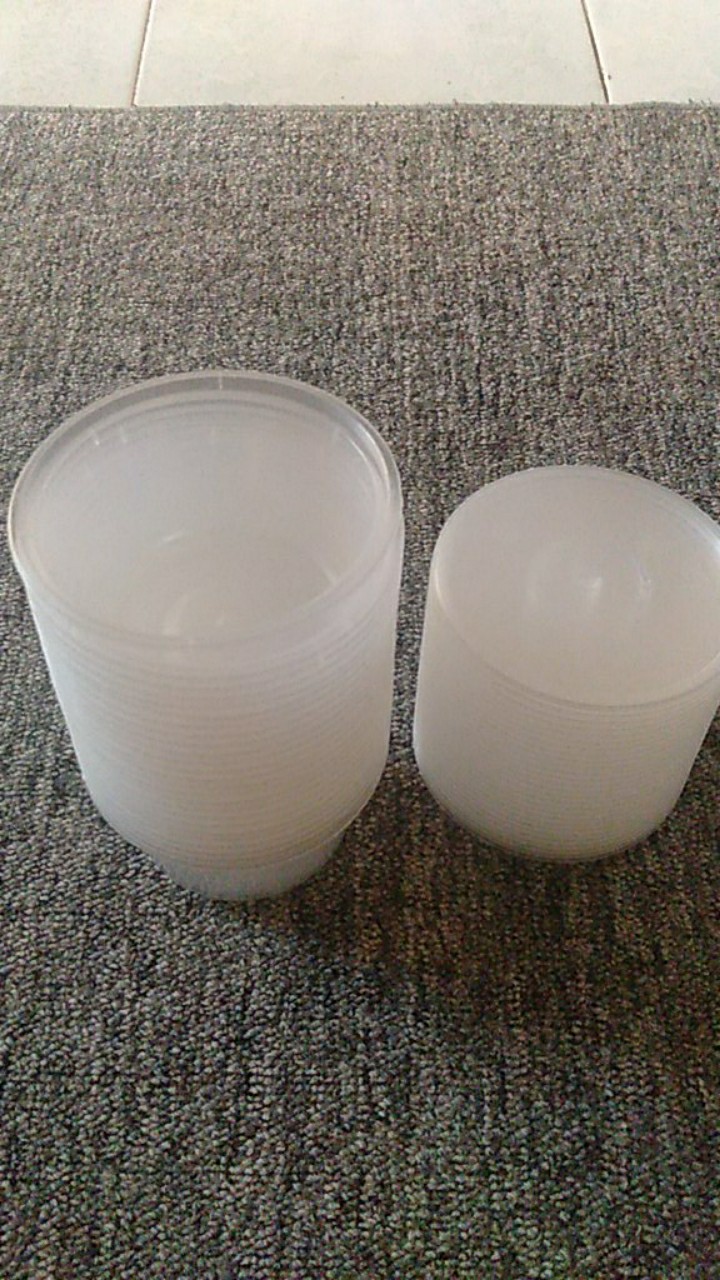 Thinwall Bowl 300 Ml Tempat Makanan Cup Puding + Tutup Mangkok Salad Buah Pp Foodgrade Surabaya Suda