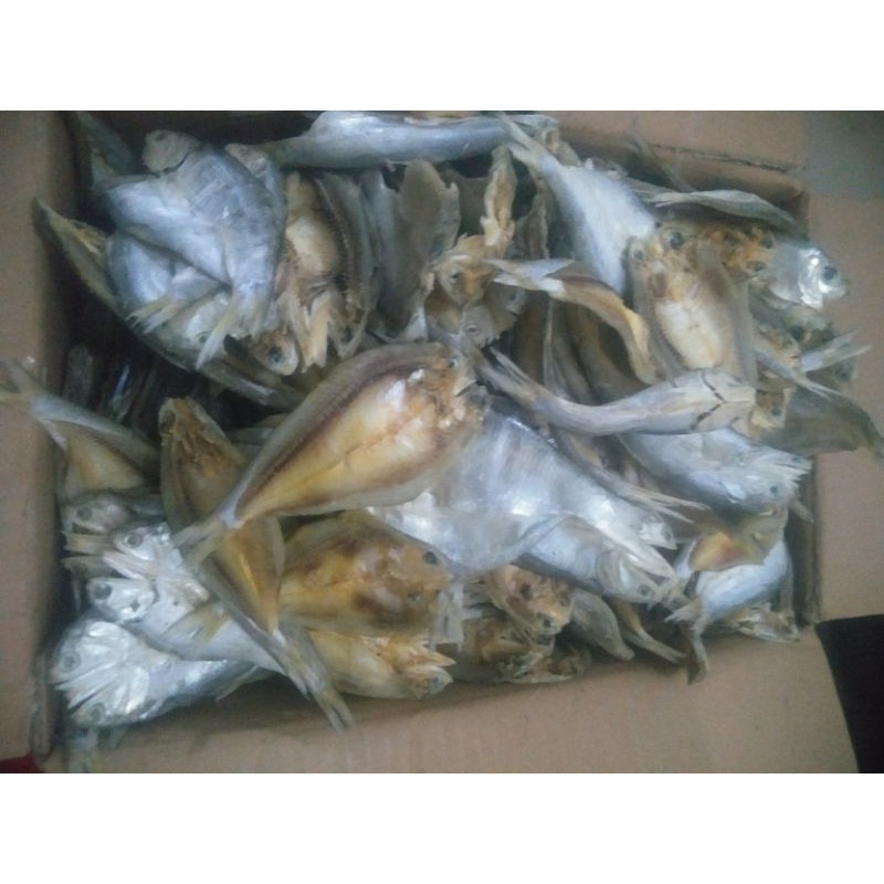 

Ikan bilis