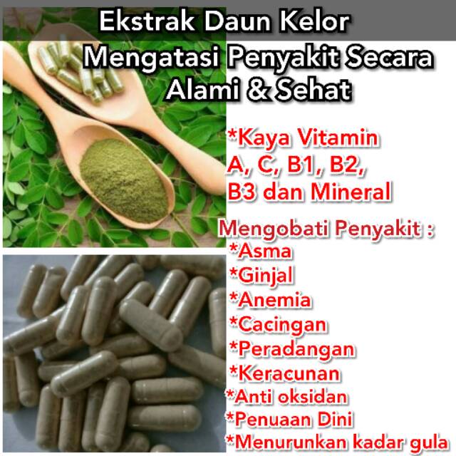 

Ekstrak Daun Kelor 100% ASLI MADURA