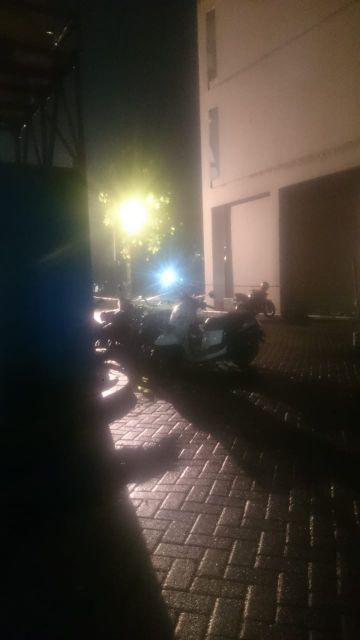 Ronce Melati Sintetis Siraman