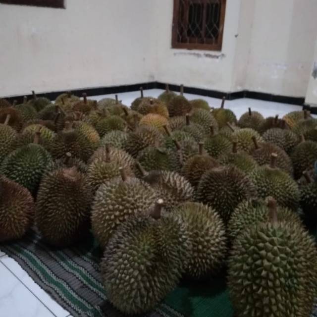 

DUREN LOKAL PANTAI PRIGI