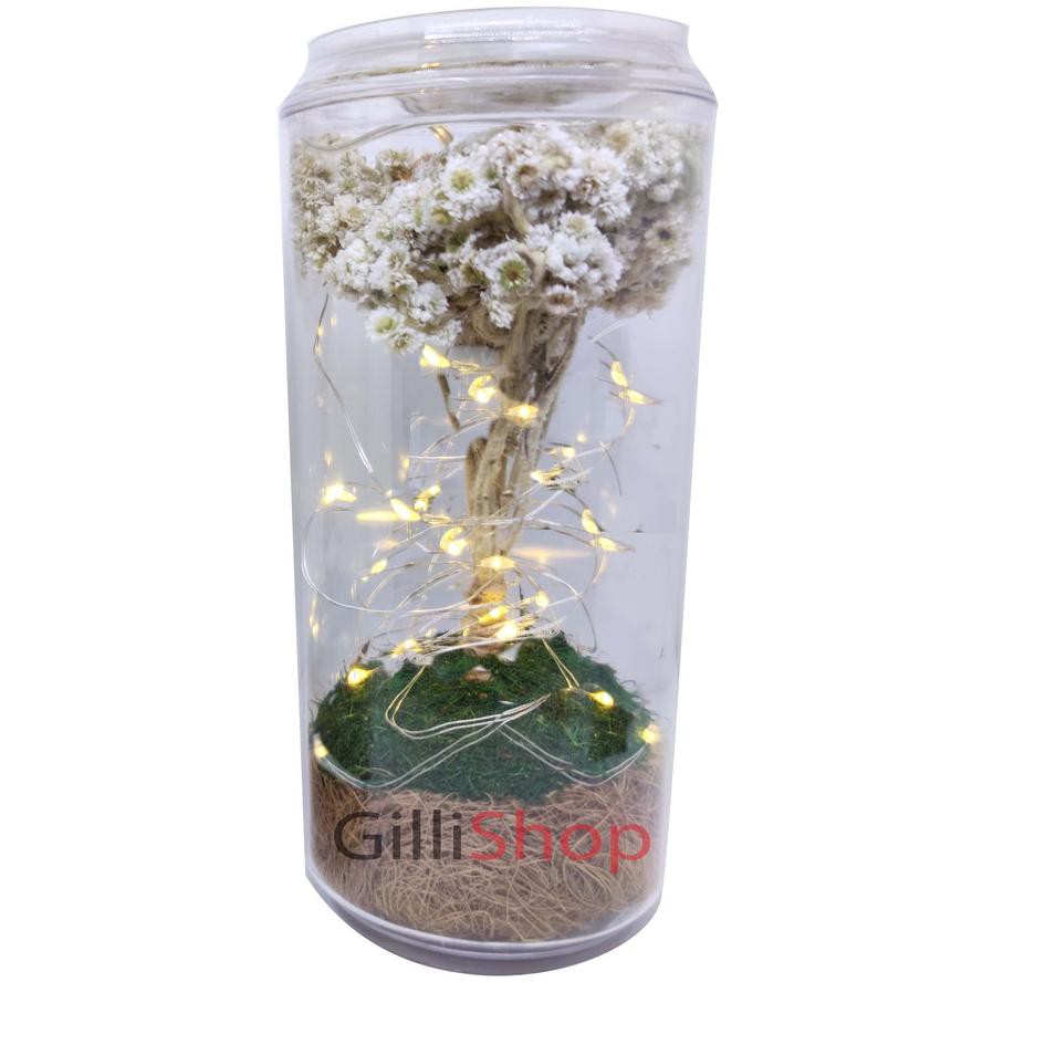 

7ZW Kado Unik/Bunga abadi/Kado bunga/Kado valentine ❀ u6 (Ready)