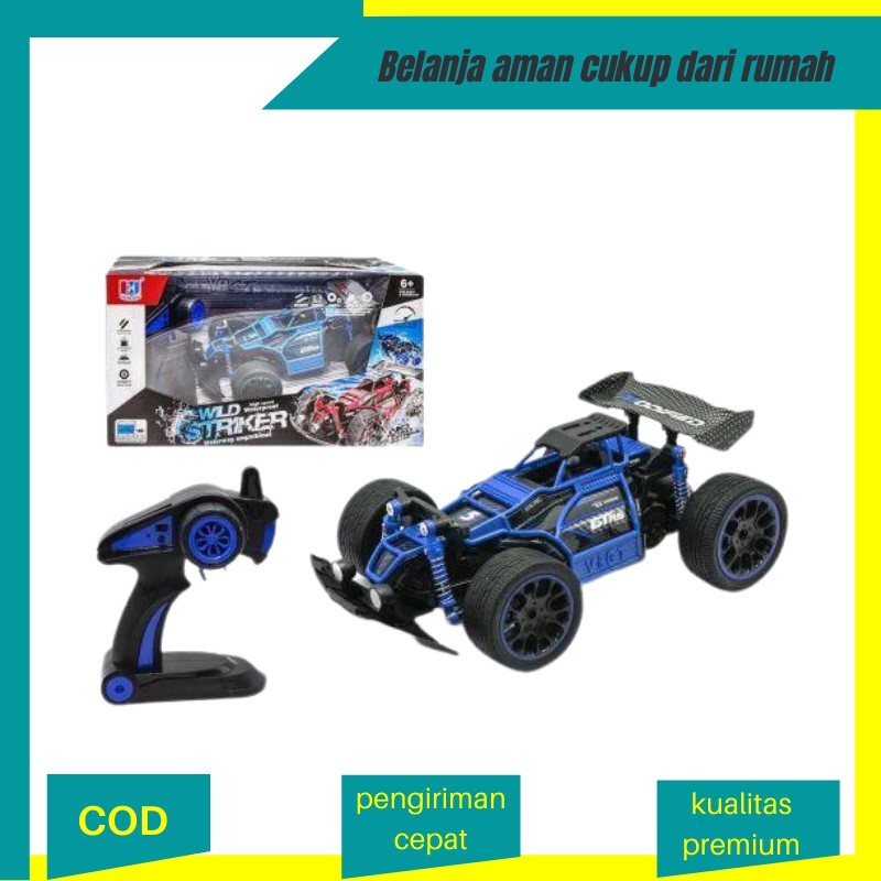 mobil remote control mainan anak RC balap Wild Striker Waterproof High Speed