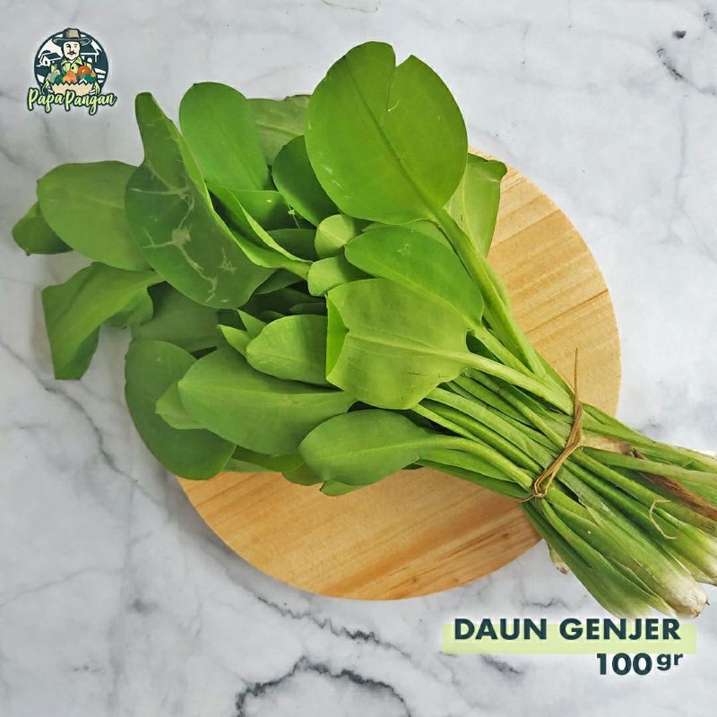 

DAUN GENJER FRESH Papapangan - 70 gram