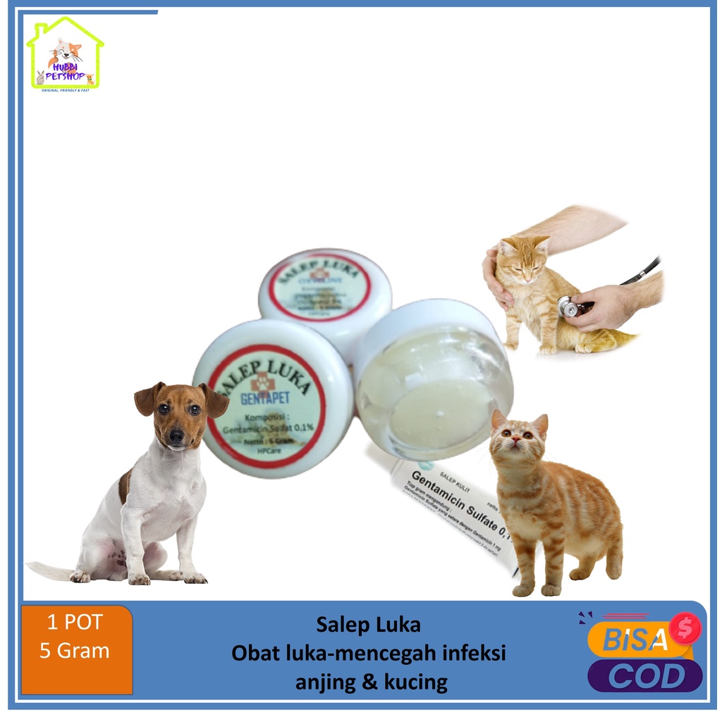 Jual Obat Luka Kucing Salep Luka Infeksi Kulit Shopee Indonesia