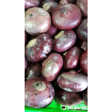 

bawang merah india 500grm