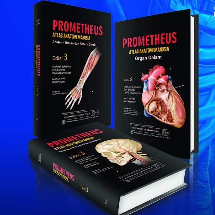 Atlas Anatomi PROMETHEUS