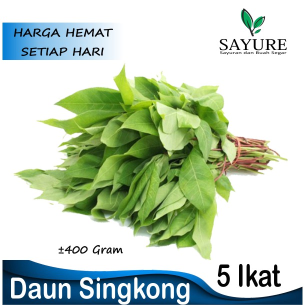 

DAUN SINGKONG SEGAR 5 IKAT